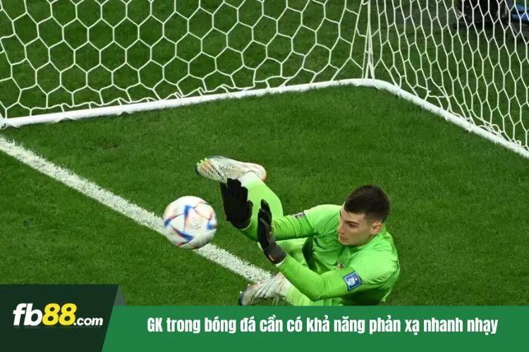 GK trong bóng đá cần có khả năng phản xạ nhanh nhạy