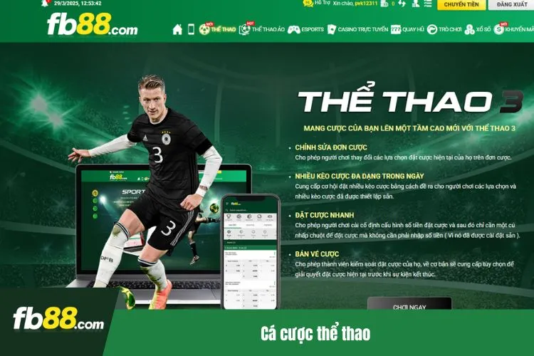 Cá cược thể thao